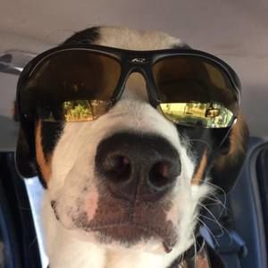 Meet your Posher, Jack